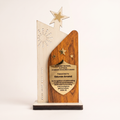 Personalized Wooden Academic Excellence Award – Gold Shield